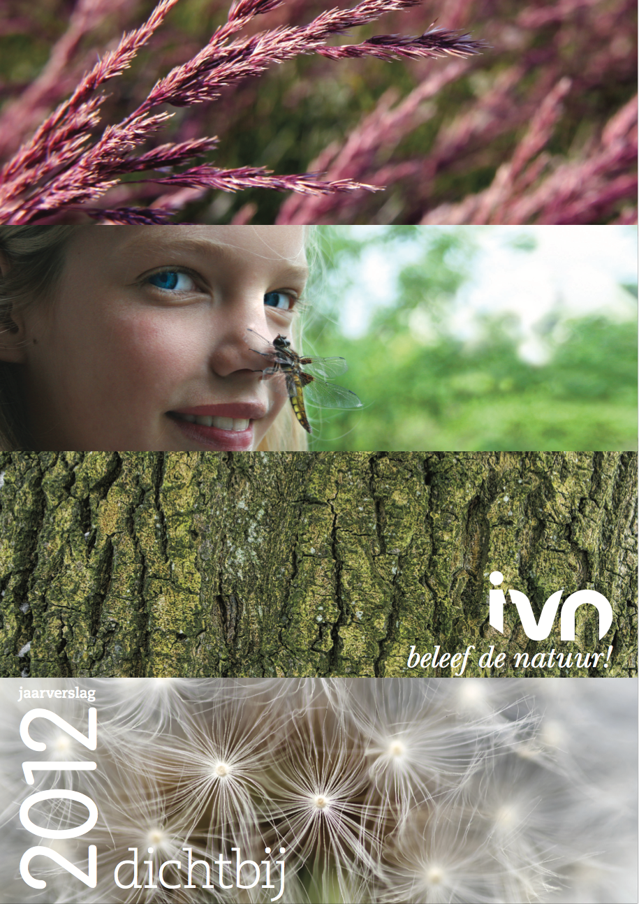 Screen Shot 2016-07-06 at 16.55.47